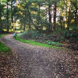 The Grove cycle trails for families